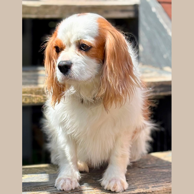 Photo of Isabelle