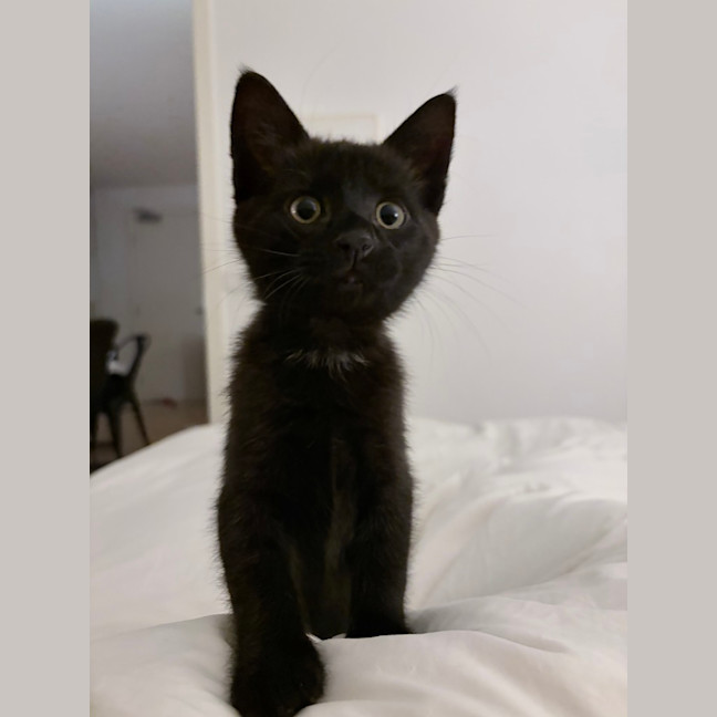 Photo of Billy