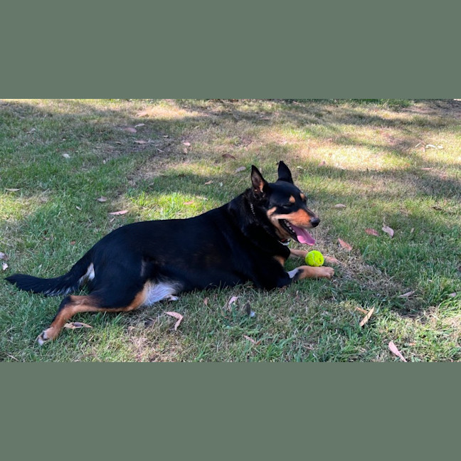 Photo of Keltien