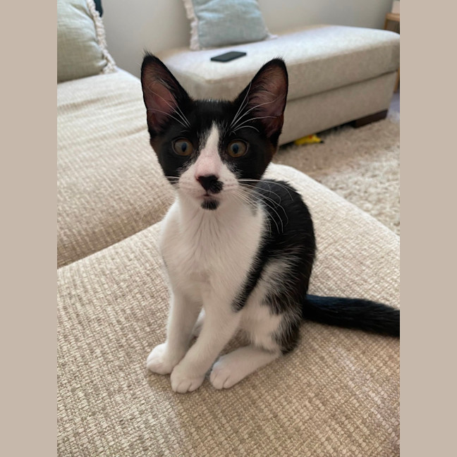 Photo of Lucy
