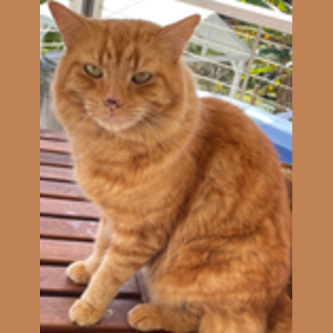 Photo of Jasper