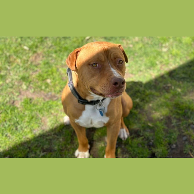Photo of Duke