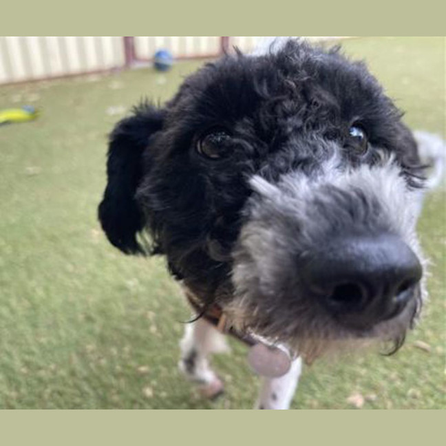 Photo of Molly