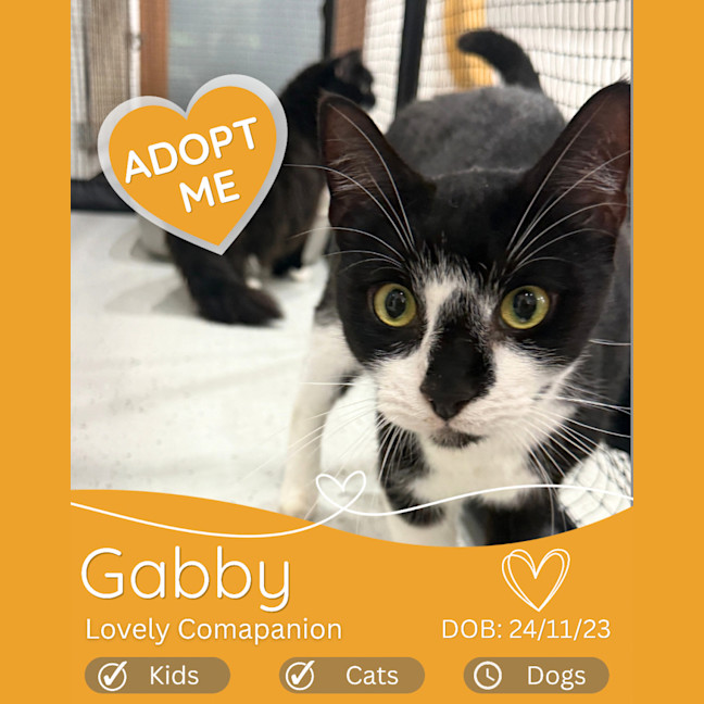 Photo of Gabby