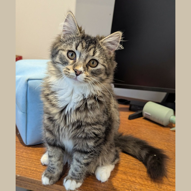 Photo of Alice