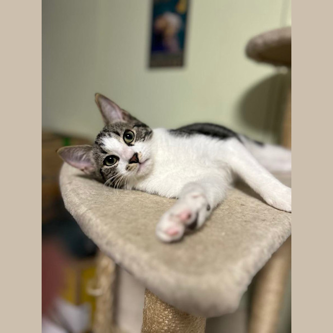 Photo of Jerry Freckle