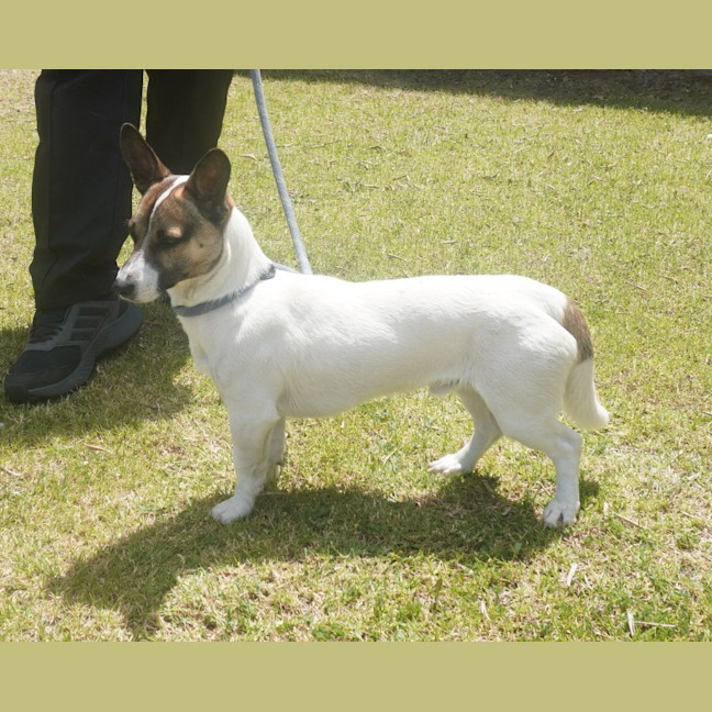 Photo of Huxley