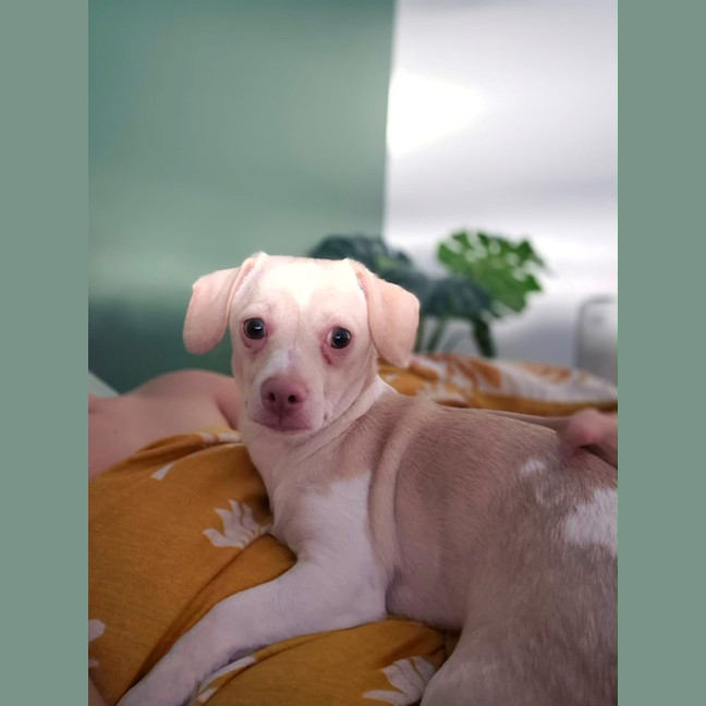 Photo of Doug