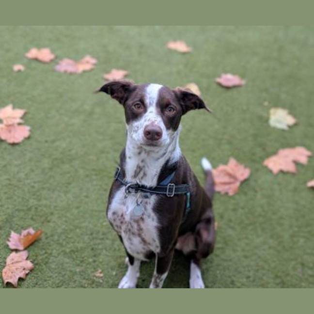 Photo of Bella 