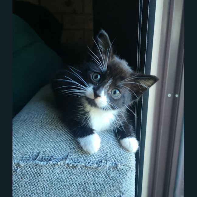 Photo of Luigi