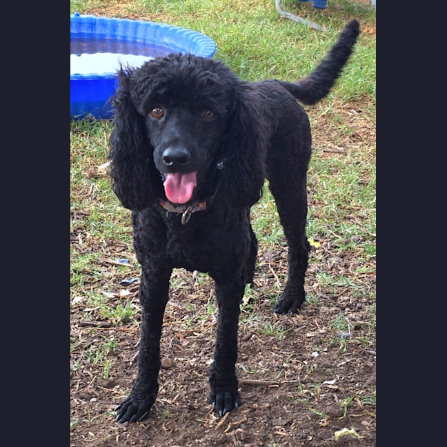 Photo of Cleo