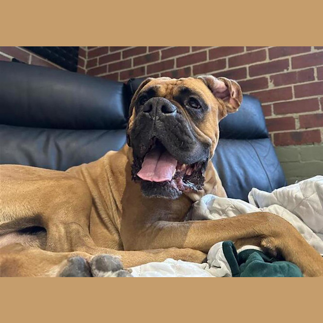Photo of Hunter