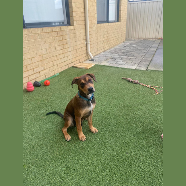 Photo of Spike