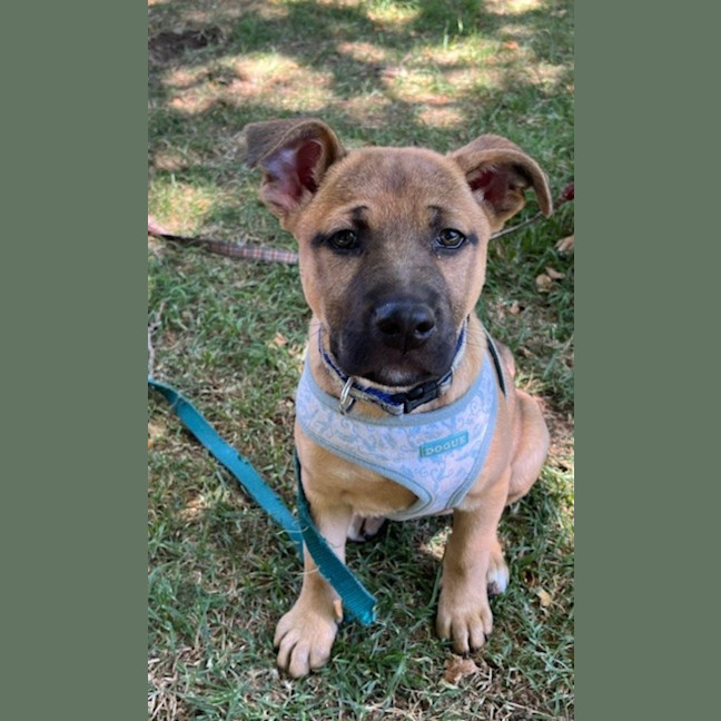 Photo of Bindi Irwin