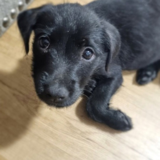 Photo of Agatha