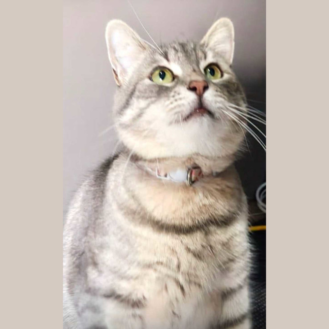 Photo of Missy