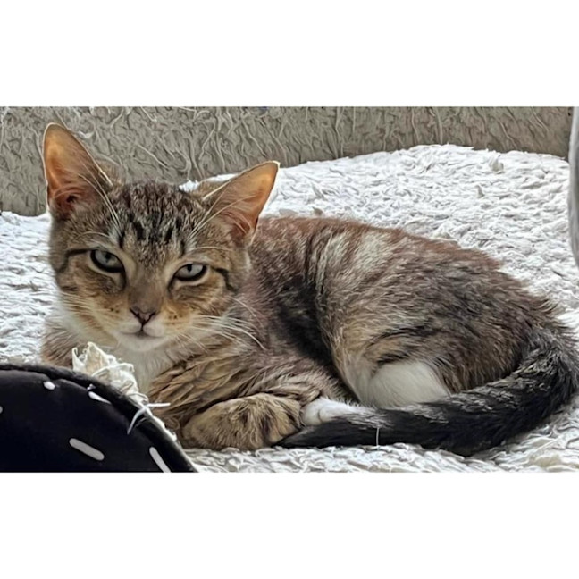 Photo of 11207   Eemie