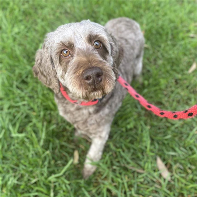Photo of Clementine