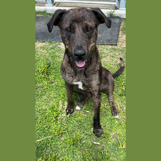 Photo of Boof (4848)