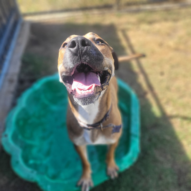 Photo of Duncan