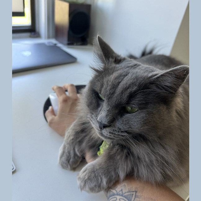 Photo of 💙 Harry 💙