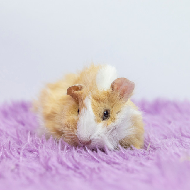 Photo of Stephanie Bucket