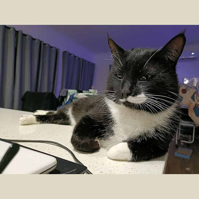 Photo of Mr Moustache