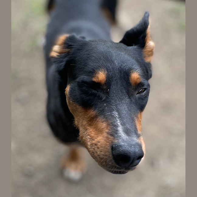 Photo of Reggie 