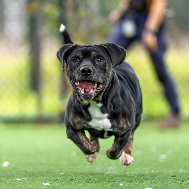 Photo of Fred Imp 2407