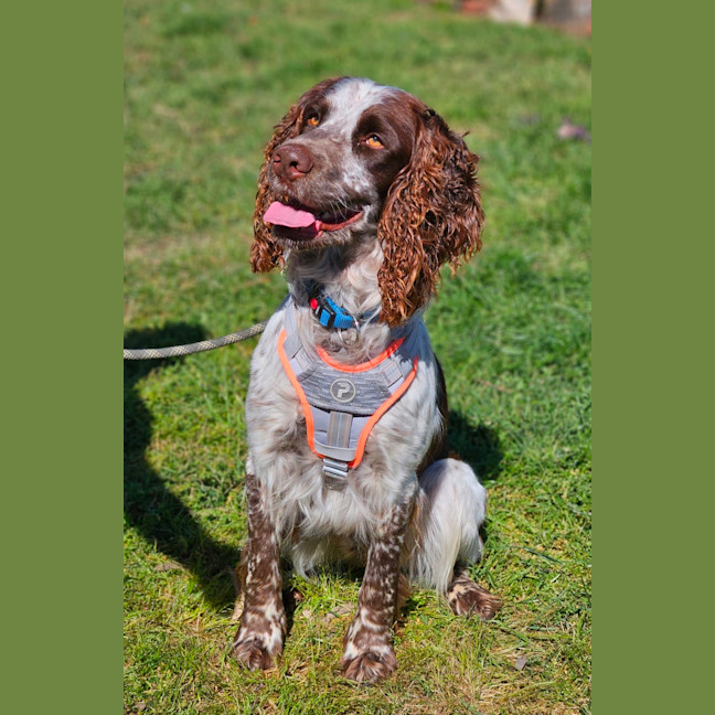 Photo of Max