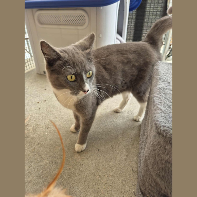 Photo of Mary! 🕊️