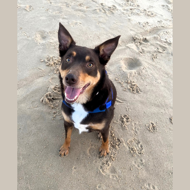 Photo of Jasper