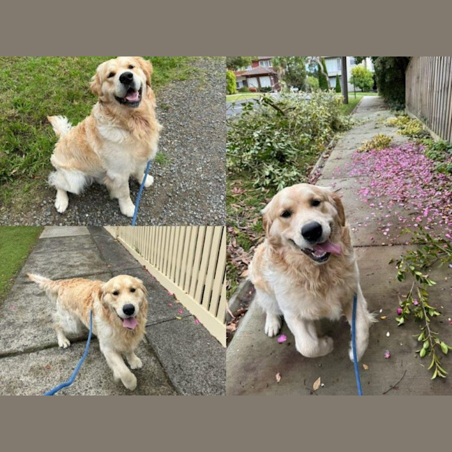 Photo of Sarrh Falko 