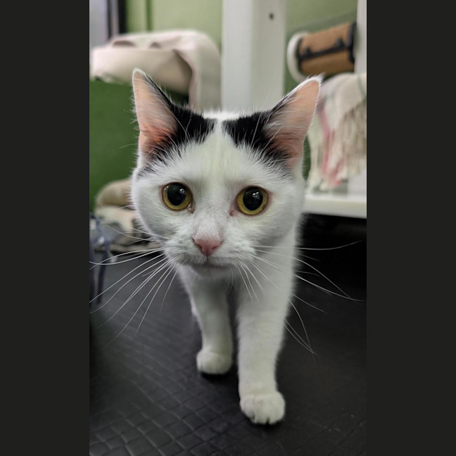 Photo of Storm