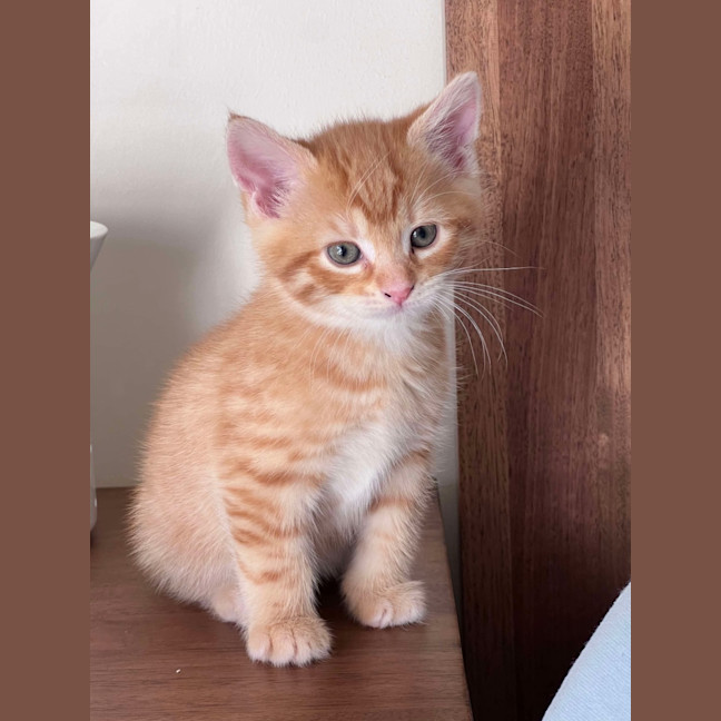 Photo of Navia & Rayne 