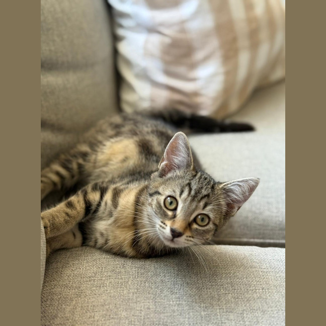 Photo of Andre And Gabby