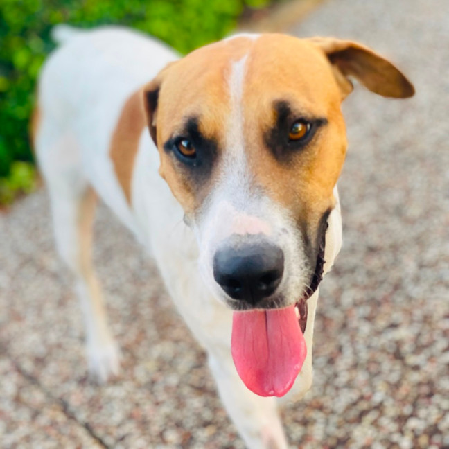 Photo of Patch
