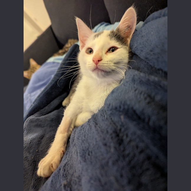 Photo of Mellie Baby