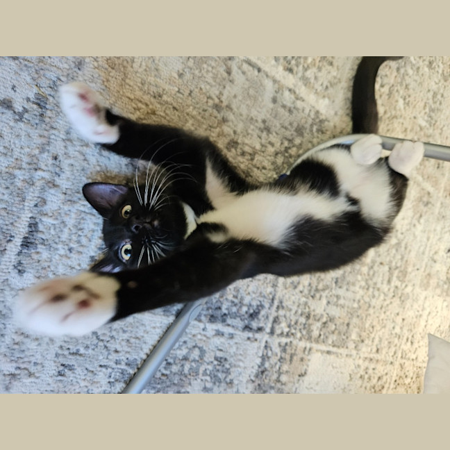 Photo of Luca