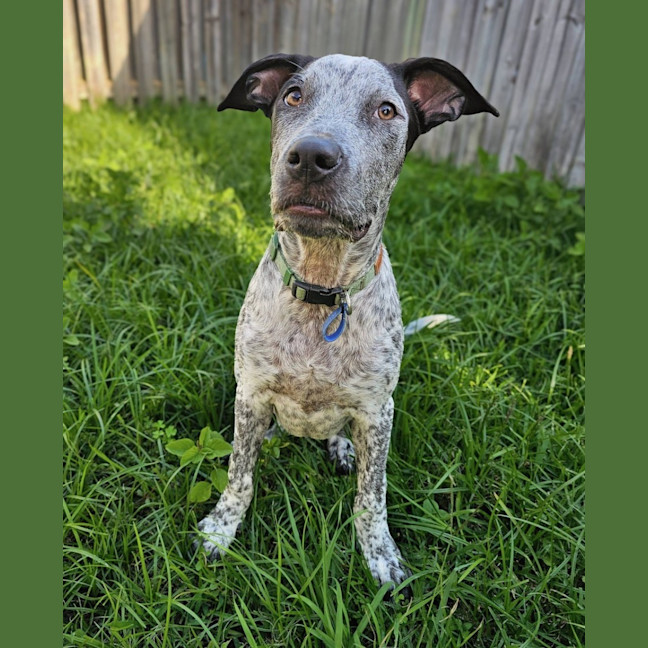 Photo of Wallace