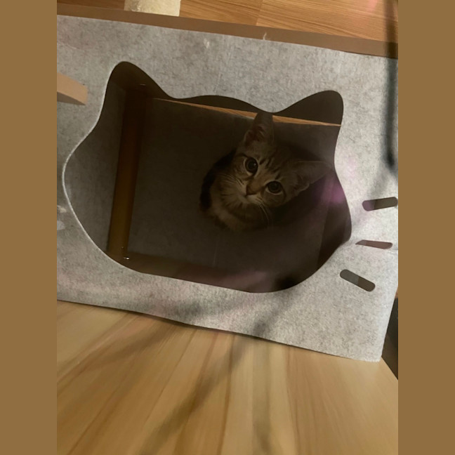 Photo of Stealth