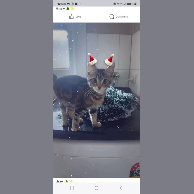 Photo of Joey & Nicky