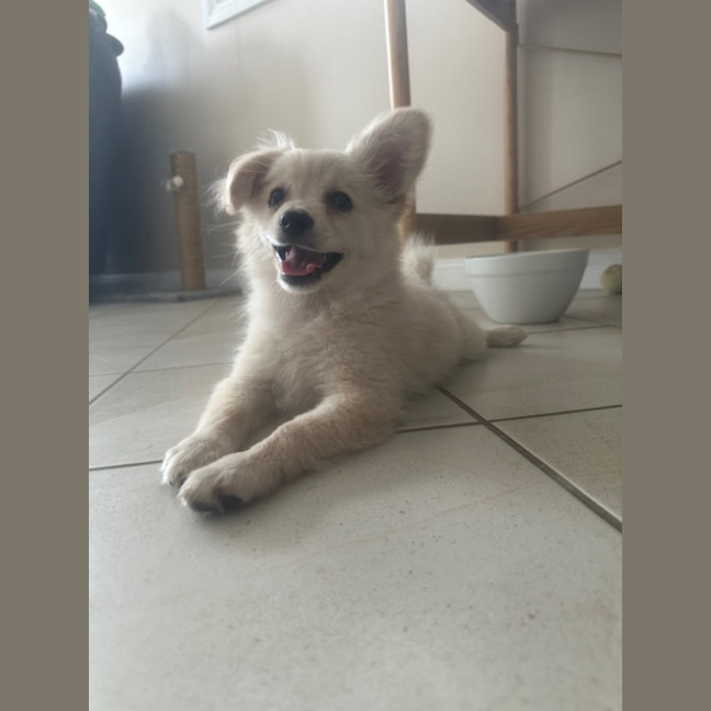 Photo of Handsome Jack 