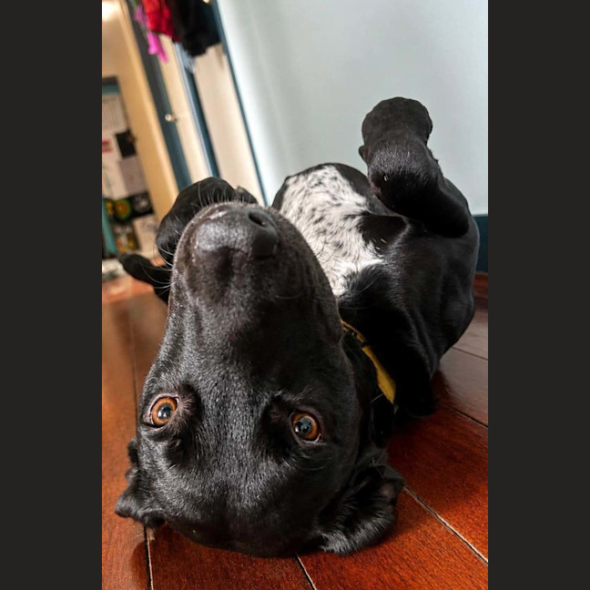 Photo of Benny