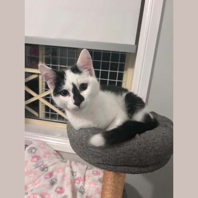 Photo of Skittles 🌈