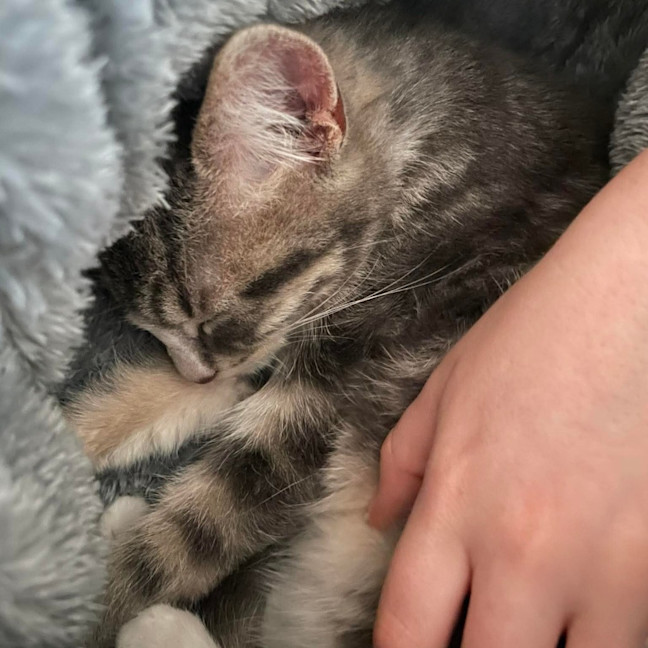 Photo of Matilda