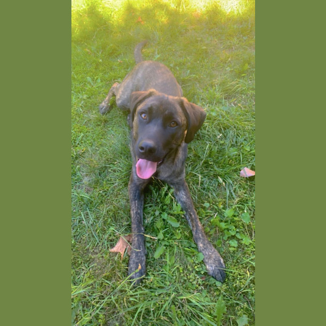 Photo of Whisky 🥃