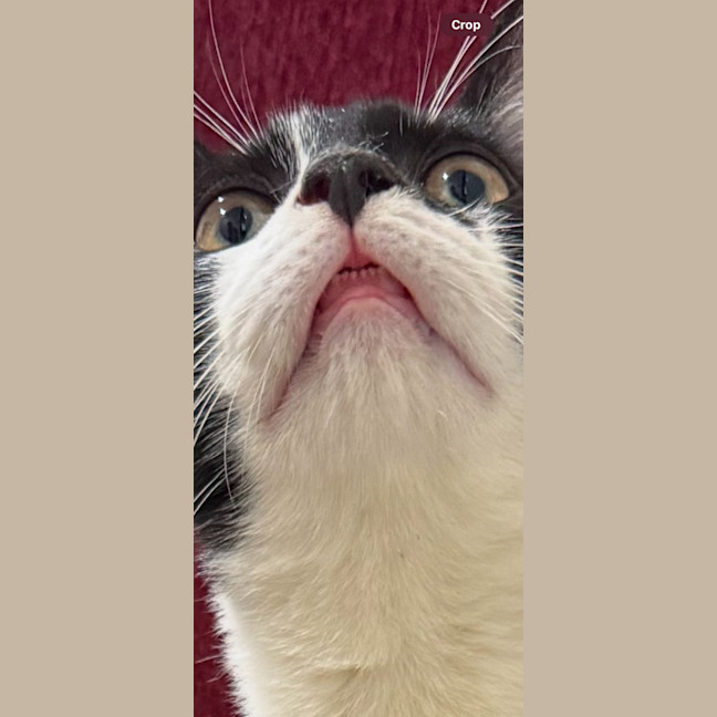 Photo of Tom