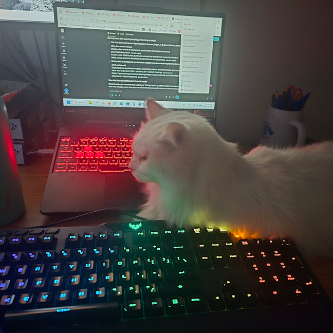 Photo of Cat