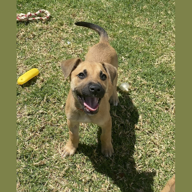 Photo of Michelangelo